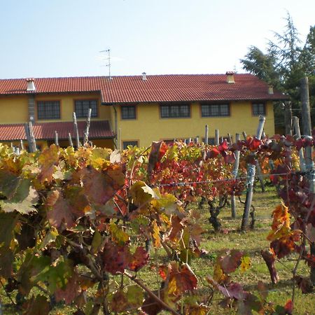 Cascina La Maddalena Bed & Wine Villa Rocca Grimalda Exteriör bild