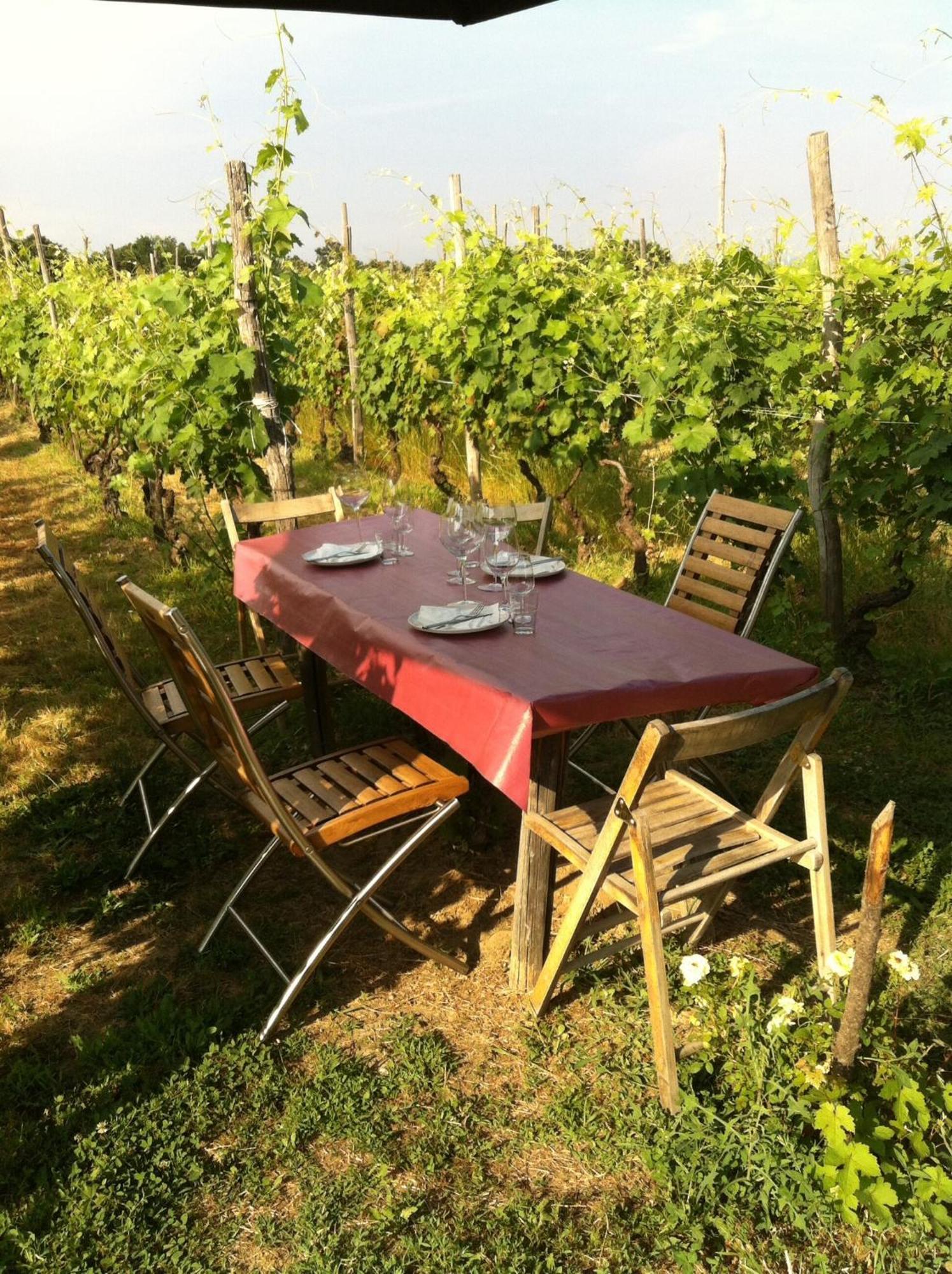 Cascina La Maddalena Bed & Wine Villa Rocca Grimalda Exteriör bild