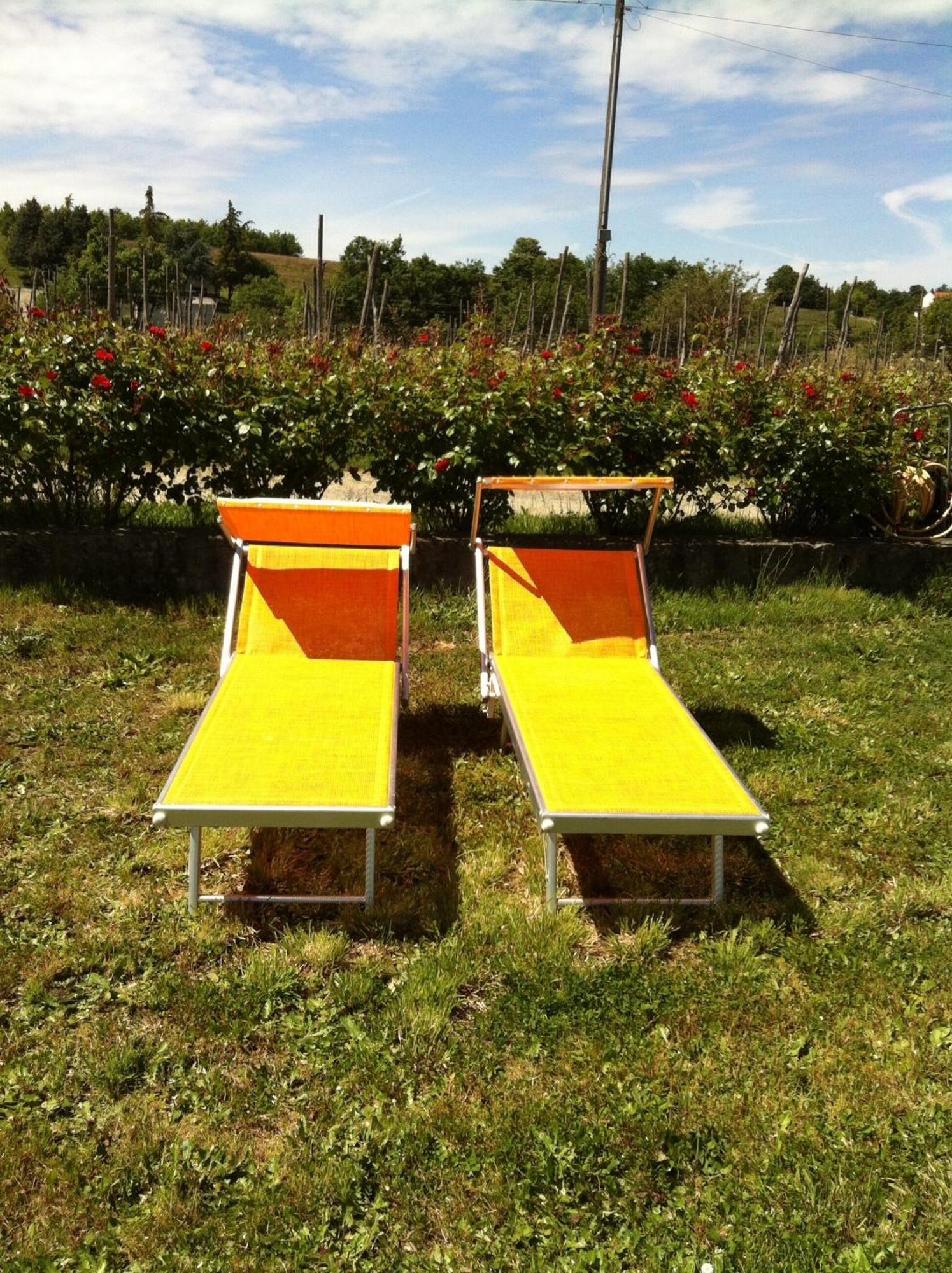 Cascina La Maddalena Bed & Wine Villa Rocca Grimalda Exteriör bild