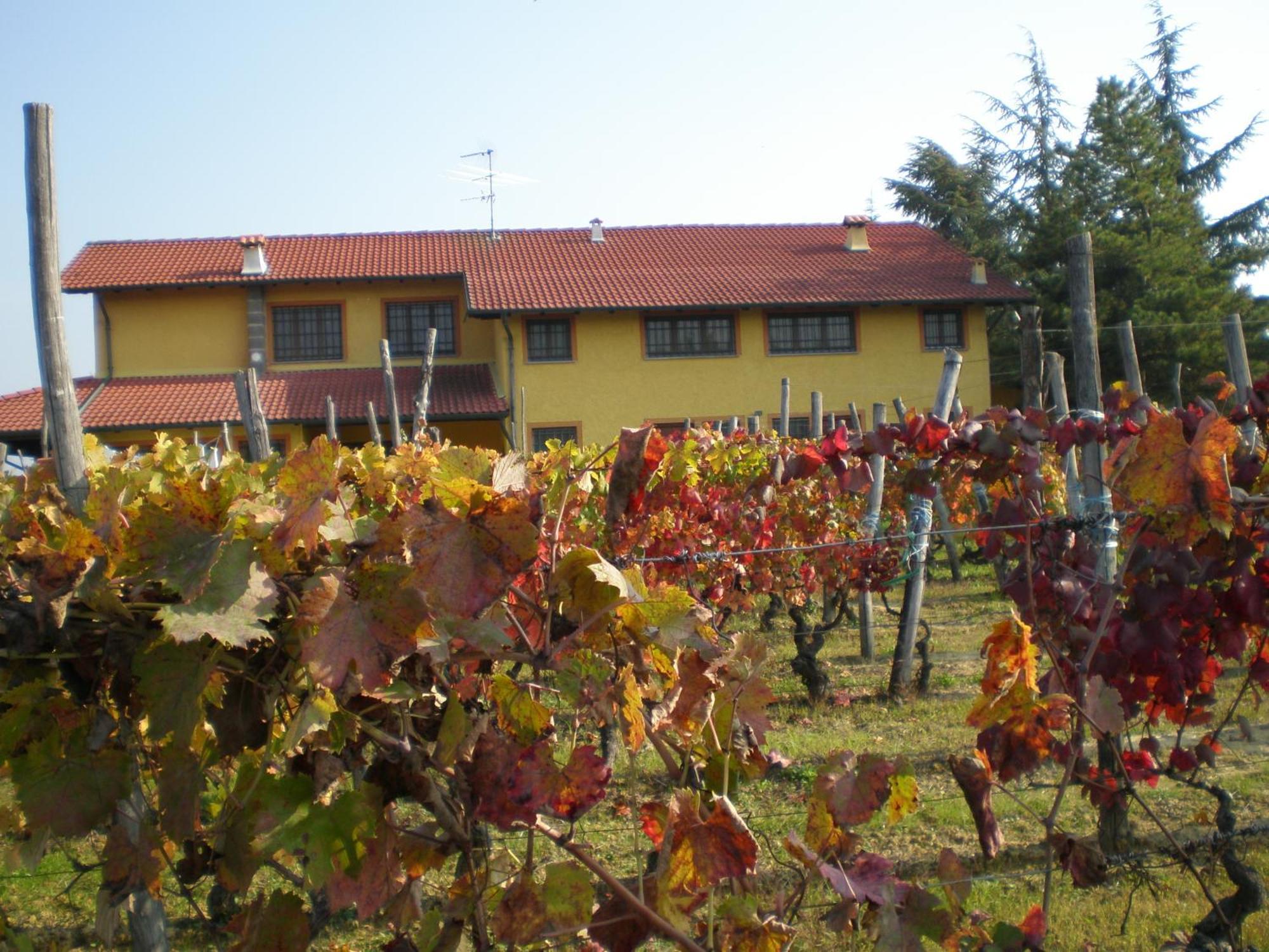 Cascina La Maddalena Bed & Wine Villa Rocca Grimalda Exteriör bild