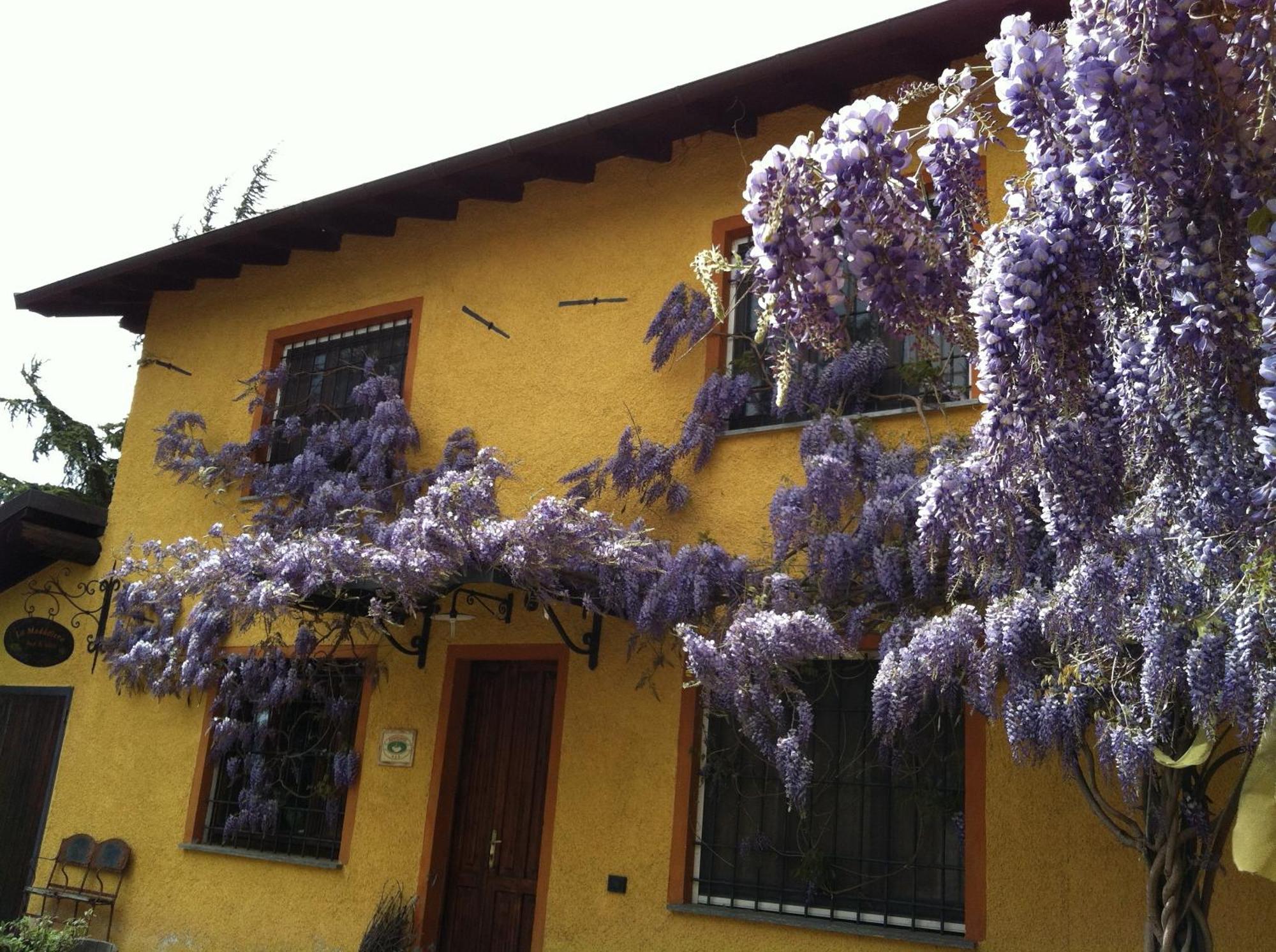 Cascina La Maddalena Bed & Wine Villa Rocca Grimalda Exteriör bild